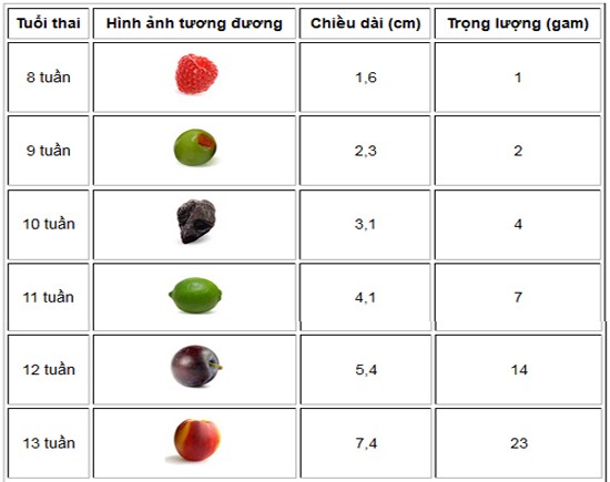 bảng chiều cao cân nặng thai nhi