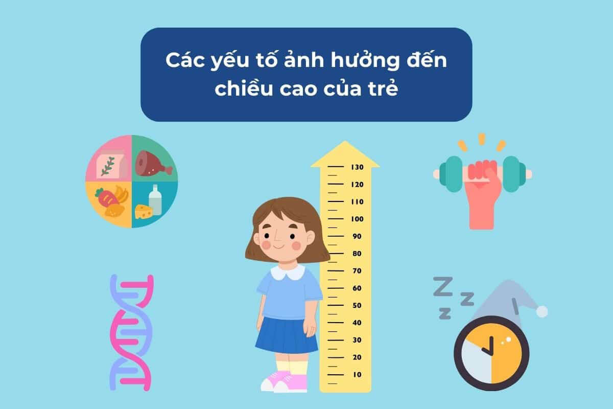 Những yếu tố ảnh hưởng chiều cao của bé