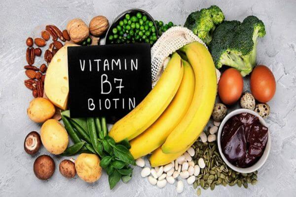 Các nhóm Vitamin B