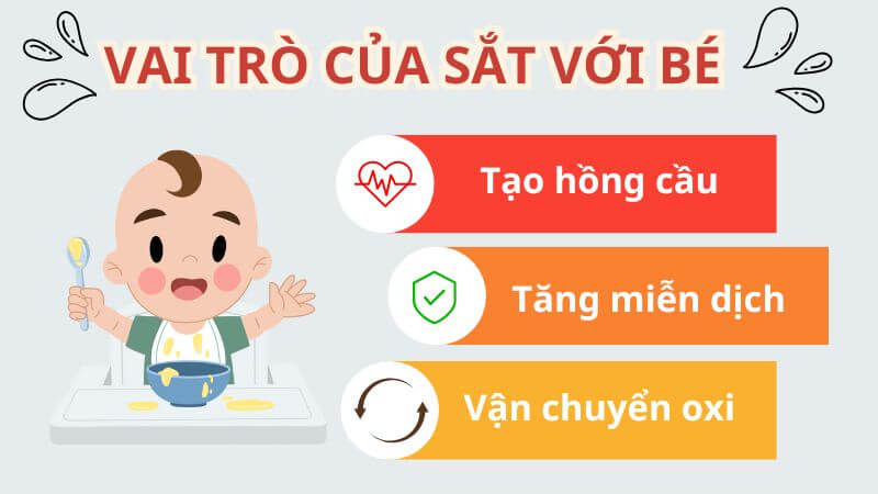 Vai trò của sắt đối với cơ thể non nớt của trẻ