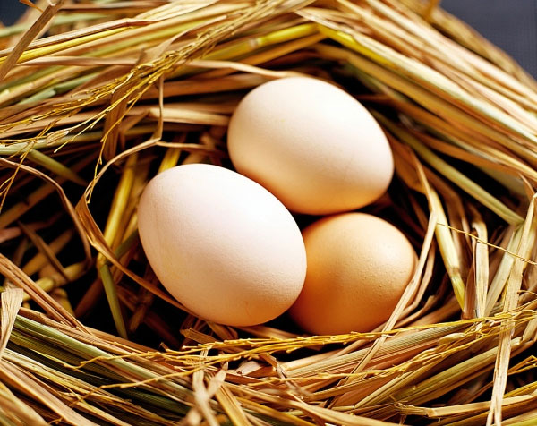 Trứng là một trong số những thực phẩm ăn vào con mà không vào mẹ