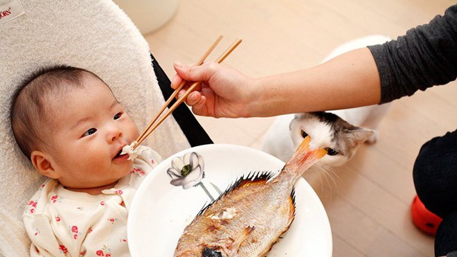 cho trẻ ăn cá